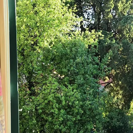 In The Center Lejlighed Split