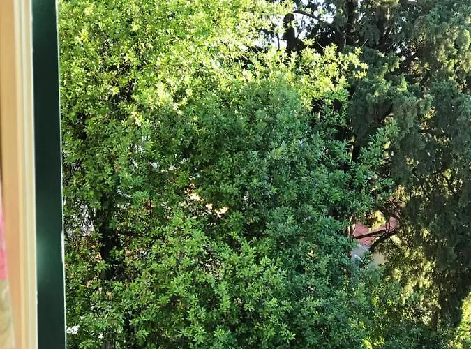 In The Center Apartament Split